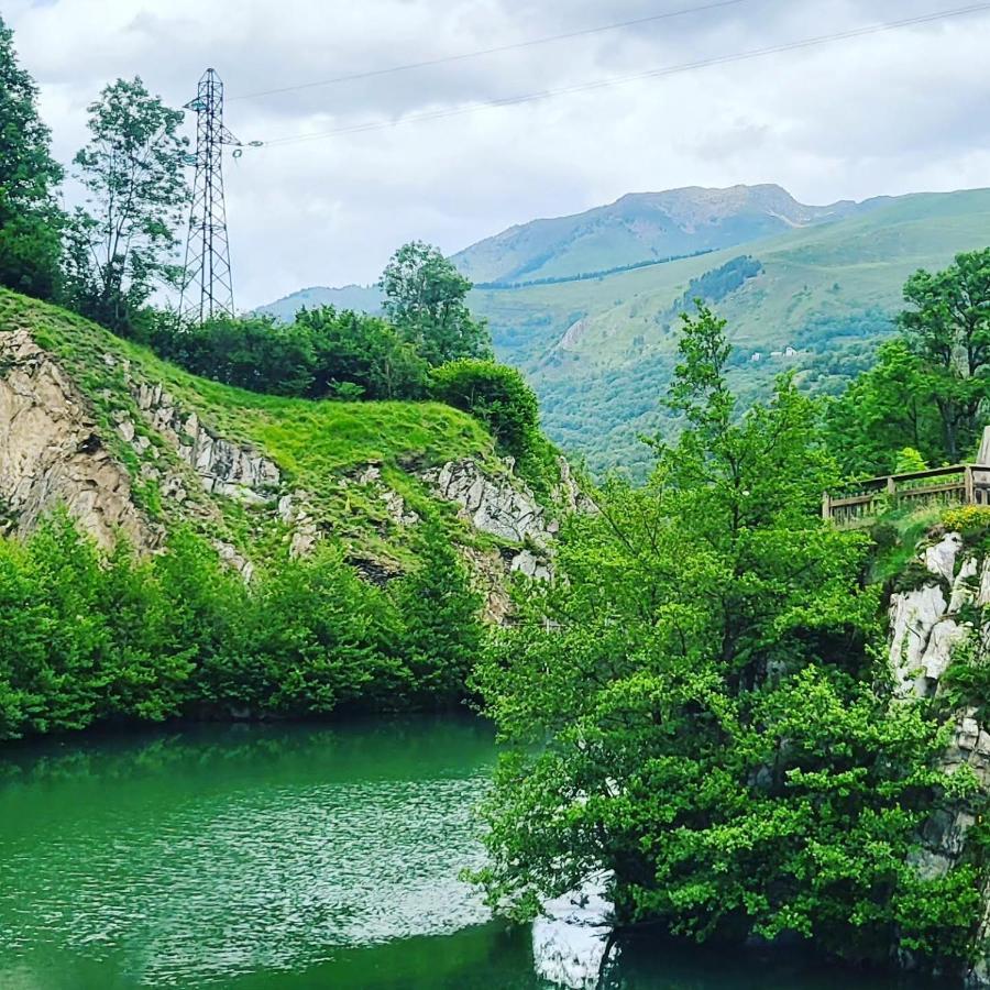 Maison Des 4 Vallees La Barthe-de-Neste 外观 照片